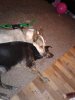 20170712_092542.jpg