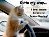 0ed6977dd07b4399558bda1712912681--i-got-this-love-it.jpg