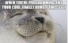 Best-Programming-Memes-01.jpg