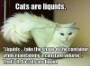 cats-are-liquids.jpg