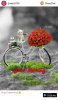 IMG-20181130-WA0005.jpg