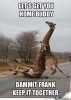 Lets-Get-You-Home-Buddy-Funny-Drunk-Meme-Image.jpg