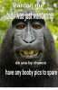 pardon-me-do-you-by-chance-have-any-booby-pics-6070595.png