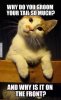 Why-do-you-groom-your-tail---cat-adult-meme.jpg