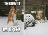 throw-it-im-open-snowball-cat.jpg
