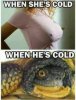 l-8795-when-shes-cold-vs-when-hes-cold.jpg