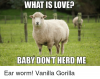 what-is-love-baby-dont-herd-me-ear-worm-vanilla-6122905.png