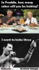 6-how-many-cakes-will-you-be-baking-Freddie-Mercury-funny-meme.jpg