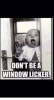 E01075C1-788F-43B8-9C6E-676B1ACBD64D.png