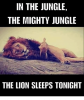 in-the-jungle-the-mighty-jungle-the-lion-sleeps-tonight-7693808.png