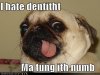 7a164c56e8223b5e32d02917e7b1acbe.jpg