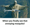 when-you-finally-see-that-annoying-mosquito-27433075.png
