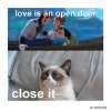Love-is-an-open-door---cat-meme.jpg