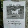 24874-lost-unicorn.jpg
