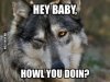 howl-you-doin.jpg
