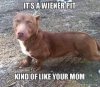FB_IMG_1546161783378.jpg