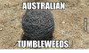 1FA73AEA-F228-49F1-A882-5CD637D0A68D.png
