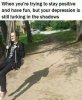 images-20.jpeg