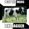 Punny+cow+oc+by+datspecktastic+new+meme+i+thought+of_3487a4_3497188.jpg