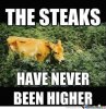 these-bovines-are-in-the-weeds_o_2166239.jpg