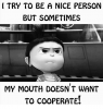 try-to-be-a-nice-person-but-sometimes-my-mouth-13528051.png