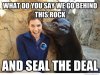 pickup-line-seal-meme.jpg