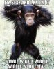 Vh-Funny-Chimp-Wiggle-animals-Sexy-and-I-Know-It.jpg