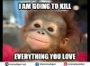 Monkey-Memes.png