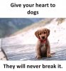 FB_IMG_1549959324609.jpg