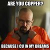 are-you-copper-pick-up-line-meme.jpg