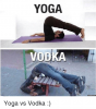 yoga-vodka-memes-com-yoga-vs-vodka-7136507.png