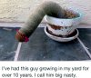 53680cb957e7e (1).jpeg