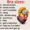 thumb_bra-sizes-a-almost-boobs-b-barely-boobs-39480880.png