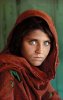 220px-Sharbat_Gula.jpg