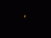 tenor (41).gif