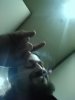 FB_IMG_1535771660285.jpg