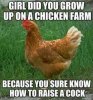 3df50302dc6e04cce2fa37632b583d24--chicken-memes-quotes.jpg