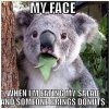 Silly-Memes2.jpg