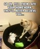 funny-dog-ate-homework-face1.jpg