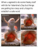 when-u-agreed-to-do-some-freaky-stuff-with-bb-14511972.png