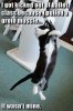 downloadfile-30.jpg