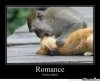 romance-meme-3.jpg