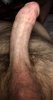 6826F305-0327-4DA3-87CE-FF87D9275578.jpeg