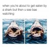 you-are-about-to-get-eaten-by-a-shark.jpg