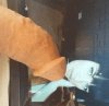 20190318_165922.gif