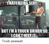 hatebeing-sexy-trucking-inc-but-im-a-truck-driver-so-35691025.png