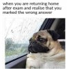 l-32699-when-you-are-returning-home-after-exam-and-realise-that-you-marked-the-wrong-answer.jpg