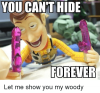 you-cant-hide-forever-let-me-show-you-my-woody-10935256.png