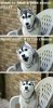 want-to-hear-a-joke-about-pizza-nevermind-it-is-11447833.jpg