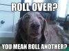 10-dog-stoner-dog-25.jpg